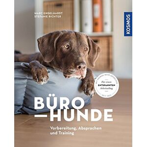 Marc Bürohunde: Vorbereitung, Absprachen und Training - Preis vom 16.06.2026 05:30:18 h Marc Bürohunde: Vorbereitung, Absprachen und Training - Preis vom 16.06.2026 05:30:18 h