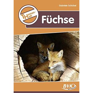 Gabriele Schickel - Themenheft Füchse (Themenhefte) - Preis vom 14.06.2026 05:24:48 h Gabriele Schickel - Themenheft Füchse (Themenhefte) - Preis vom 14.06.2026 05:24:48 h