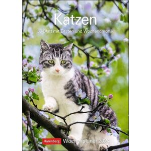 Thomas Huhnold - Katzen Wochenplaner 2024: 53 Blatt mit Zitaten und Wochenchronik - Preis vom 16.06.2026 05:30:18 h Thomas Huhnold - Katzen Wochenplaner 2024: 53 Blatt mit Zitaten und Wochenchronik - Preis vom 16.06.2026 05:30:18 h