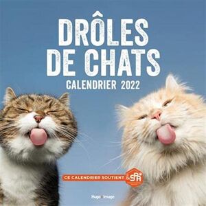 Sophie Le Flour - Drôles de chats : calendrier 2022 - Preis vom 13.06.2026 05:28:29 h Sophie Le Flour - Drôles de chats : calendrier 2022 - Preis vom 13.06.2026 05:28:29 h