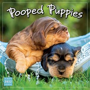 Sellers Pub. Inc. - Pooped Puppies 2022 Calendar - Preis vom 15.06.2026 05:30:30 h Sellers Pub. Inc. - Pooped Puppies 2022 Calendar - Preis vom 15.06.2026 05:30:30 h