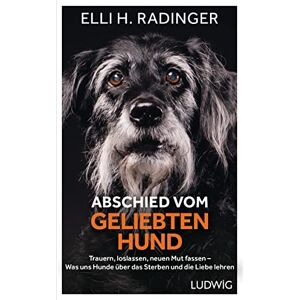 Radinger, Elli H. - Abschied vom geliebten Hund: Trauern, loslassen, neuen Mut fassen – Was uns Hunde über das Sterben und die Liebe lehren - Preis vom 16.06.2026 05:30:18 h Radinger, Elli H. - Abschied vom geliebten Hund: Trauern, loslassen, neuen Mut fassen – Was uns Hunde über das Sterben und die Liebe lehren - Preis vom 16.06.2026 05:30:18 h
