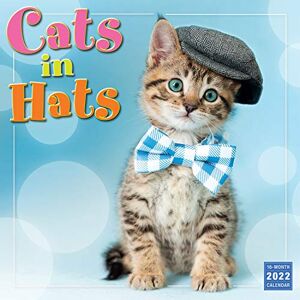 Inc. Sellers Publishing - Cats in Hats 2022 Calendar - Preis vom 11.06.2026 05:43:19 h Inc. Sellers Publishing - Cats in Hats 2022 Calendar - Preis vom 11.06.2026 05:43:19 h