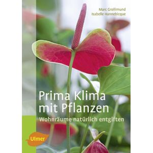 Marc Prima Klima mit Pflanzen: Wohnräume natürlich entgiften - Preis vom 16.06.2026 05:30:18 h Marc Prima Klima mit Pflanzen: Wohnräume natürlich entgiften - Preis vom 16.06.2026 05:30:18 h
