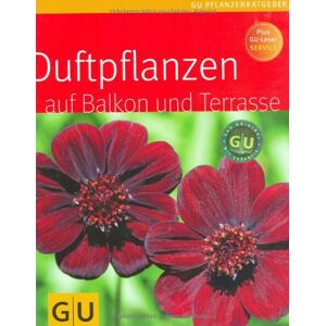Bergmann Duftpflanzen für Balkon und Terrasse (GU Pflanzenratgeber) - Preis vom 13.06.2026 05:28:29 h Bergmann Duftpflanzen für Balkon und Terrasse (GU Pflanzenratgeber) - Preis vom 13.06.2026 05:28:29 h