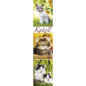 Korsch Verlag - Katzen Langplaner 2021 - Preis vom 12.06.2026 05:40:31 h Korsch Verlag - Katzen Langplaner 2021 - Preis vom 12.06.2026 05:40:31 h
