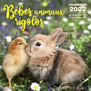Artémis - Bébés animaux rigolos : calendrier 2022 : de septembre 2021 à décembre 2022 - Preis vom 11.06.2026 05:43:19 h Artémis - Bébés animaux rigolos : calendrier 2022 : de septembre 2021 à décembre 2022 - Preis vom 11.06.2026 05:43:19 h