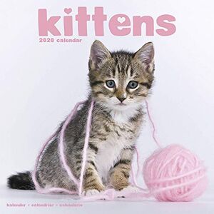 Avonside Publishing Ltd - Kittens Calendar 2020 - Preis vom 13.06.2026 05:28:29 h Avonside Publishing Ltd - Kittens Calendar 2020 - Preis vom 13.06.2026 05:28:29 h
