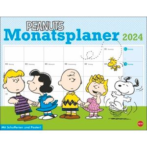 |Heye - Peanuts Monatsplaner 2024 - Preis vom 11.06.2026 05:43:19 h |Heye - Peanuts Monatsplaner 2024 - Preis vom 11.06.2026 05:43:19 h