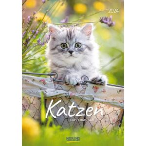 Korsch Verlag - Katzen 2024 - Preis vom 11.06.2026 05:43:19 h Korsch Verlag - Katzen 2024 - Preis vom 11.06.2026 05:43:19 h