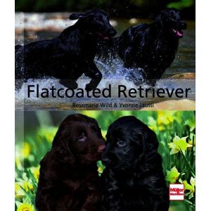 Rosemarie Wild - Flatcoated Retriever (Hunderassen) - Preis vom 16.06.2026 05:30:18 h Rosemarie Wild - Flatcoated Retriever (Hunderassen) - Preis vom 16.06.2026 05:30:18 h