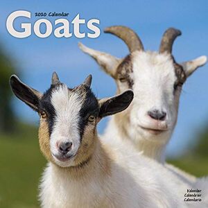 Avonside Publishing Ltd - Goats Calendar 2020 - Preis vom 15.06.2026 05:30:30 h Avonside Publishing Ltd - Goats Calendar 2020 - Preis vom 15.06.2026 05:30:30 h