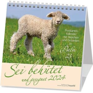Sei behütet und gesegnet 2024: Impulse und Gedanken zu Psalm 23 - Preis vom 11.06.2026 05:43:19 h Sei behütet und gesegnet 2024: Impulse und Gedanken zu Psalm 23 - Preis vom 11.06.2026 05:43:19 h