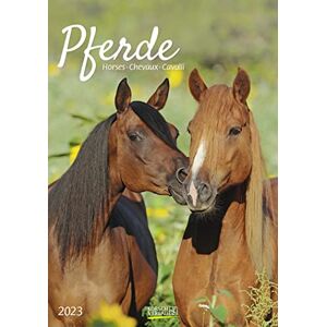 Korsch Verlag - Pferde 2023 - Preis vom 15.06.2026 05:30:30 h Korsch Verlag - Pferde 2023 - Preis vom 15.06.2026 05:30:30 h