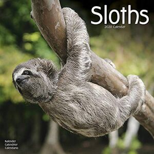 Avonside Publishing Ltd - Avonside Publishing Ltd: Sloths Calendar 2020 - Preis vom 10.06.2026 05:35:22 h Avonside Publishing Ltd - Avonside Publishing Ltd: Sloths Calendar 2020 - Preis vom 10.06.2026 05:35:22 h