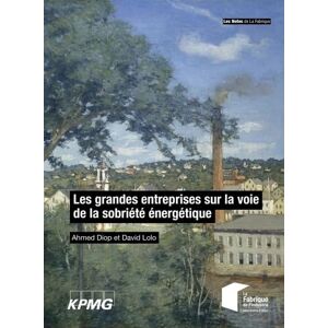 Ahmed Diop - Les grandes entreprises sur la voie de la sobriété énergétique - Preis vom 14.06.2026 05:24:48 h Ahmed Diop - Les grandes entreprises sur la voie de la sobriété énergétique - Preis vom 14.06.2026 05:24:48 h