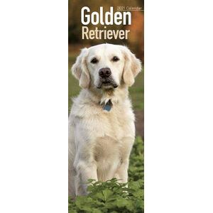 Golden Retriever 2021 Slim Calendar - Preis vom 12.06.2026 05:40:31 h Golden Retriever 2021 Slim Calendar - Preis vom 12.06.2026 05:40:31 h