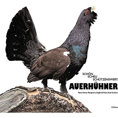Bergmann Auerhühner: Schön, scheu, schützenswert - Preis vom 07.08.2026 11:47:26 h Bergmann Auerhühner: Schön, scheu, schützenswert - Preis vom 07.08.2026 11:47:26 h