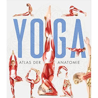 YOGA: Atlas der Anatomie - Preis vom 07.08.2026 11:47:26 h YOGA: Atlas der Anatomie - Preis vom 07.08.2026 11:47:26 h