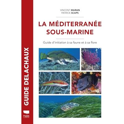 Vincent La Méditerranée sous-marine : guide d'initiation à sa faune et à sa flore - Preis vom 22.06.2026 23:23:57 h Vincent La Méditerranée sous-marine : guide d'initiation à sa faune et à sa flore - Preis vom 22.06.2026 23:23:57 h
