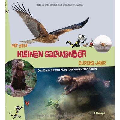 Monika Niehaus - Mit dem kleinen Salamander durchs Jahr: Das Buch für von Natur aus neugierige Kinder - Preis vom 26.06.2026 19:40:26 h Monika Niehaus - Mit dem kleinen Salamander durchs Jahr: Das Buch für von Natur aus neugierige Kinder - Preis vom 26.06.2026 19:40:26 h