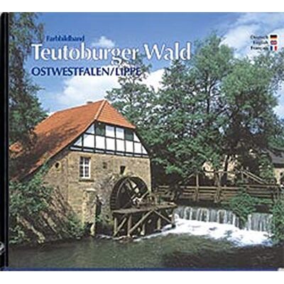 Roland Farbbildreise durch Ostwestfalen/Lippe, Teutoburger Wald - Texte in Deutsch / Englisch / Französisch - Preis vom 19.06.2026 05:29:47 h Roland Farbbildreise durch Ostwestfalen/Lippe, Teutoburger Wald - Texte in Deutsch / Englisch / Französisch - Preis vom 19.06.2026 05:29:47 h