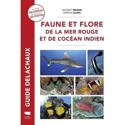 Vincent Faune et flore de la mer Rouge et de l'océan Indien - Preis vom 23.06.2026 11:45:09 h Vincent Faune et flore de la mer Rouge et de l'océan Indien - Preis vom 23.06.2026 11:45:09 h
