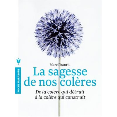 Marc La sagesse de nos colères : de la colère qui détruit à la colère qui construit - Preis vom 19.06.2026 05:29:47 h Marc La sagesse de nos colères : de la colère qui détruit à la colère qui construit - Preis vom 19.06.2026 05:29:47 h