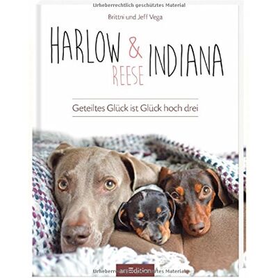 Vega, Brittni und Jeff - Harlow, Indiana & Reese: Geteiltes Glück ist Glück hoch drei - Preis vom 22.09.2026 03:35:57 h Vega, Brittni und Jeff - Harlow, Indiana & Reese: Geteiltes Glück ist Glück hoch drei - Preis vom 22.09.2026 03:35:57 h