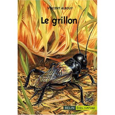 Vincent Le grillon - Preis vom 22.06.2026 23:23:57 h Vincent Le grillon - Preis vom 22.06.2026 23:23:57 h