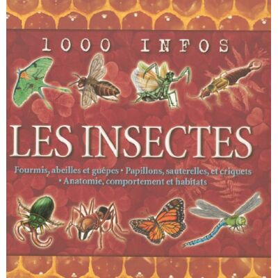 Taylor Les insectes : fourmis, abeilles et guêpes, papillons, sauterelles, et criquets, anatomie, comportements et habitats - Preis vom 24.06.2026 07:42:13 h Taylor Les insectes : fourmis, abeilles et guêpes, papillons, sauterelles, et criquets, anatomie, comportements et habitats - Preis vom 24.06.2026 07:42:13 h