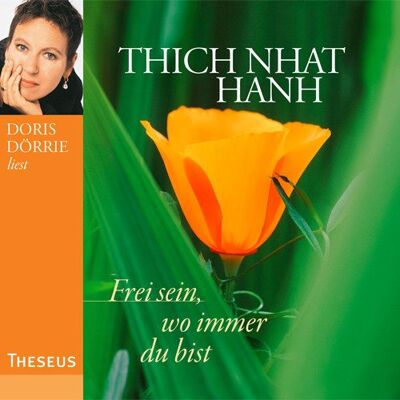 Thich Nhat Hanh - Frei sein, wo immer du bist. CD - Preis vom 20.06.2026 05:23:55 h Thich Nhat Hanh - Frei sein, wo immer du bist. CD - Preis vom 20.06.2026 05:23:55 h