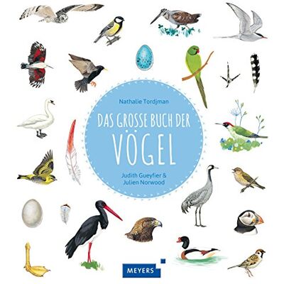 Nathalie Tordjman - Das große Buch der Vögel - Preis vom 26.06.2026 07:41:50 h Nathalie Tordjman - Das große Buch der Vögel - Preis vom 26.06.2026 07:41:50 h