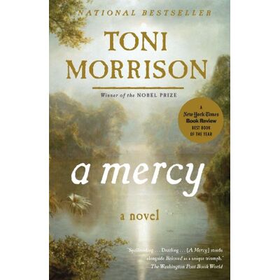 Toni Morrison - A Mercy (Vintage International) - Preis vom 22.09.2026 03:35:57 h Toni Morrison - A Mercy (Vintage International) - Preis vom 22.09.2026 03:35:57 h