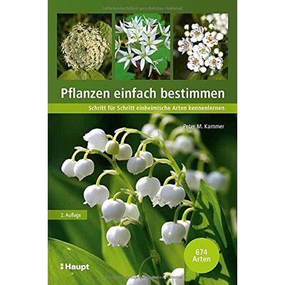 Kammer - Pflanzen einfach bestimmen: Schritt für Schritt einheimische Arten kennenlernen - Preis vom 26.06.2026 19:40:26 h Kammer - Pflanzen einfach bestimmen: Schritt für Schritt einheimische Arten kennenlernen - Preis vom 26.06.2026 19:40:26 h