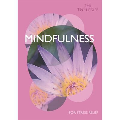 Pyramid Tiny Healer: Mindfulness - Preis vom 22.06.2026 23:23:57 h Pyramid Tiny Healer: Mindfulness - Preis vom 22.06.2026 23:23:57 h