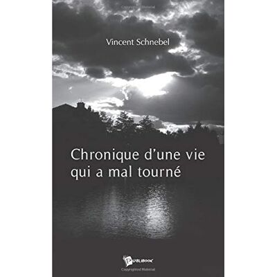Vincent Chronique d'une vie qui a mal tourné - Preis vom 22.06.2026 23:23:57 h Vincent Chronique d'une vie qui a mal tourné - Preis vom 22.06.2026 23:23:57 h