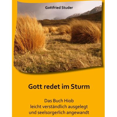 Gottfried Studer - Gott redet im Sturm: Das Buch Hiob leicht verständlich ausgelegt und seelsorgerlich angewandt - Preis vom 23.06.2026 11:45:09 h Gottfried Studer - Gott redet im Sturm: Das Buch Hiob leicht verständlich ausgelegt und seelsorgerlich angewandt - Preis vom 23.06.2026 11:45:09 h