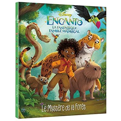 Disney Encanto : la fantastique famille Madrigal : le mystère de la forêt - Preis vom 21.06.2026 05:42:24 h Disney Encanto : la fantastique famille Madrigal : le mystère de la forêt - Preis vom 21.06.2026 05:42:24 h