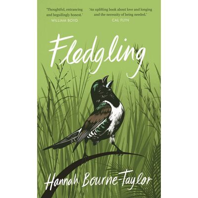 Taylor Fledgling - Preis vom 24.06.2026 07:42:13 h Taylor Fledgling - Preis vom 24.06.2026 07:42:13 h