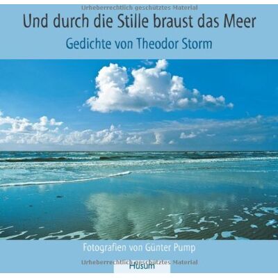 Und durch die Stille braust das Meer: Gedichte von Theodor Storm - Preis vom 24.06.2026 07:42:13 h Und durch die Stille braust das Meer: Gedichte von Theodor Storm - Preis vom 24.06.2026 07:42:13 h
