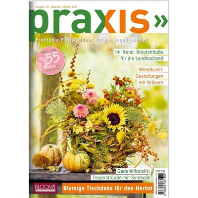 Team PRAXIS - PRAXIS Nr. 125: Profitable Floristikideen für das Tagesgeschäft (PRAXIS - Das Magazin) - Preis vom 22.06.2026 11:45:37 h Team PRAXIS - PRAXIS Nr. 125: Profitable Floristikideen für das Tagesgeschäft (PRAXIS - Das Magazin) - Preis vom 22.06.2026 11:45:37 h