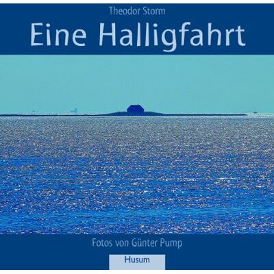 Theodor Storm - Eine Halligfahrt: Novelle - Preis vom 22.09.2026 03:35:57 h Theodor Storm - Eine Halligfahrt: Novelle - Preis vom 22.09.2026 03:35:57 h
