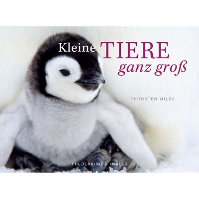 Thorsten Milse - Kleine Tiere ganz groß - Tischaufsteller im Schuber: Mit immerwährendem Kalendarium - Preis vom 21.06.2026 05:42:24 h Thorsten Milse - Kleine Tiere ganz groß - Tischaufsteller im Schuber: Mit immerwährendem Kalendarium - Preis vom 21.06.2026 05:42:24 h