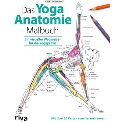 Kelly Solloway - Das Yoga-Anatomie-Malbuch: Ein visueller Wegweiser für die Yogapraxis. Mit über 30 Karten zum Heraustrennen - Preis vom 24.06.2026 07:42:13 h Kelly Solloway - Das Yoga-Anatomie-Malbuch: Ein visueller Wegweiser für die Yogapraxis. Mit über 30 Karten zum Heraustrennen - Preis vom 24.06.2026 07:42:13 h