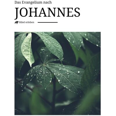 Martin Luther - Das Evangelium nach Johannes - inhaltlich treues Buch der Bibel mit modernem und beeindruckendem Design und Bildern - Preis vom 24.06.2026 07:42:13 h Martin Luther - Das Evangelium nach Johannes - inhaltlich treues Buch der Bibel mit modernem und beeindruckendem Design und Bildern - Preis vom 24.06.2026 07:42:13 h