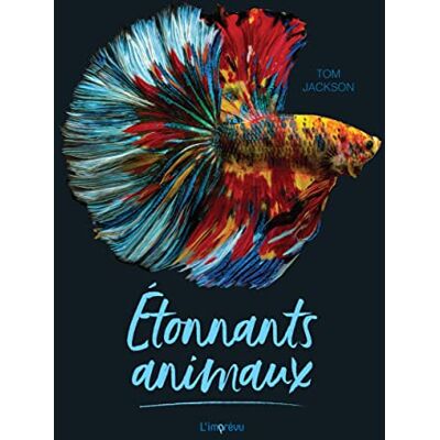 Jackson Etonnants animaux - Preis vom 16.06.2026 05:30:18 h Jackson Etonnants animaux - Preis vom 16.06.2026 05:30:18 h