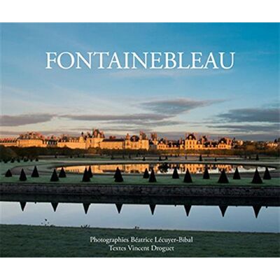 Vincent Fontainebleau - Preis vom 22.06.2026 23:23:57 h Vincent Fontainebleau - Preis vom 22.06.2026 23:23:57 h