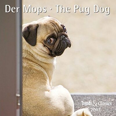 Der Mops The Pug Dog 2017 - Preis vom 20.06.2026 05:23:55 h Der Mops The Pug Dog 2017 - Preis vom 20.06.2026 05:23:55 h