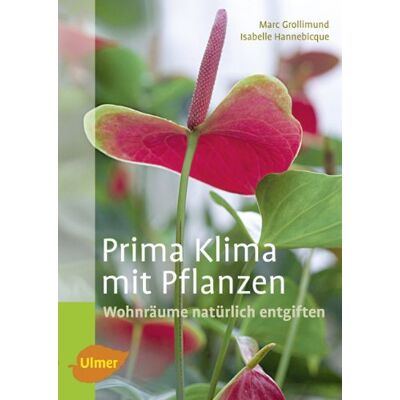 Marc Prima Klima mit Pflanzen: Wohnräume natürlich entgiften - Preis vom 07.08.2026 11:47:26 h Marc Prima Klima mit Pflanzen: Wohnräume natürlich entgiften - Preis vom 07.08.2026 11:47:26 h